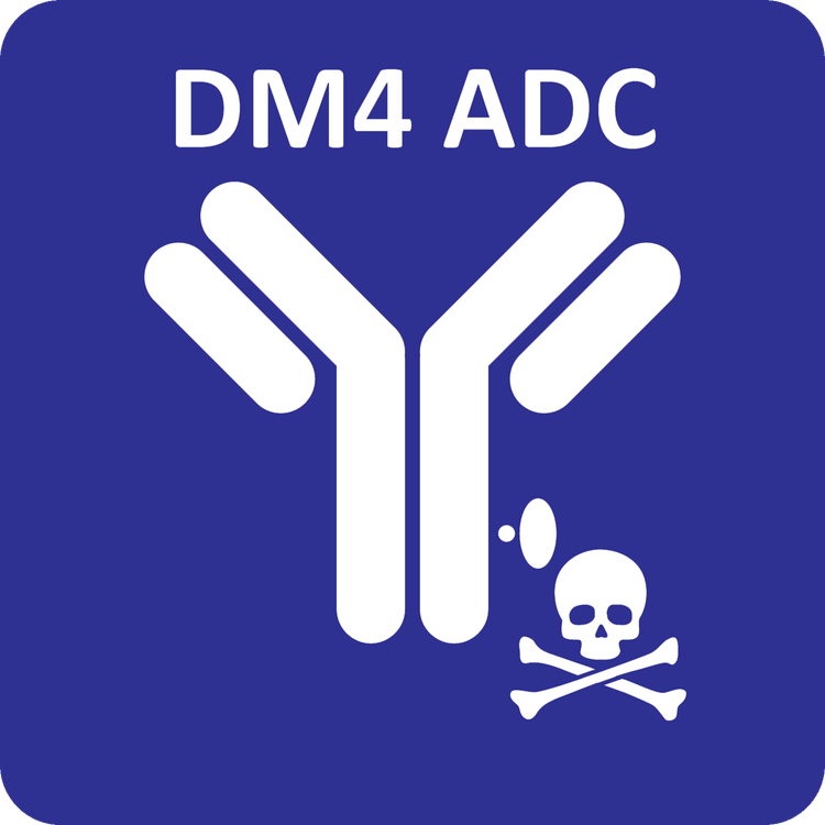 dm4 adc