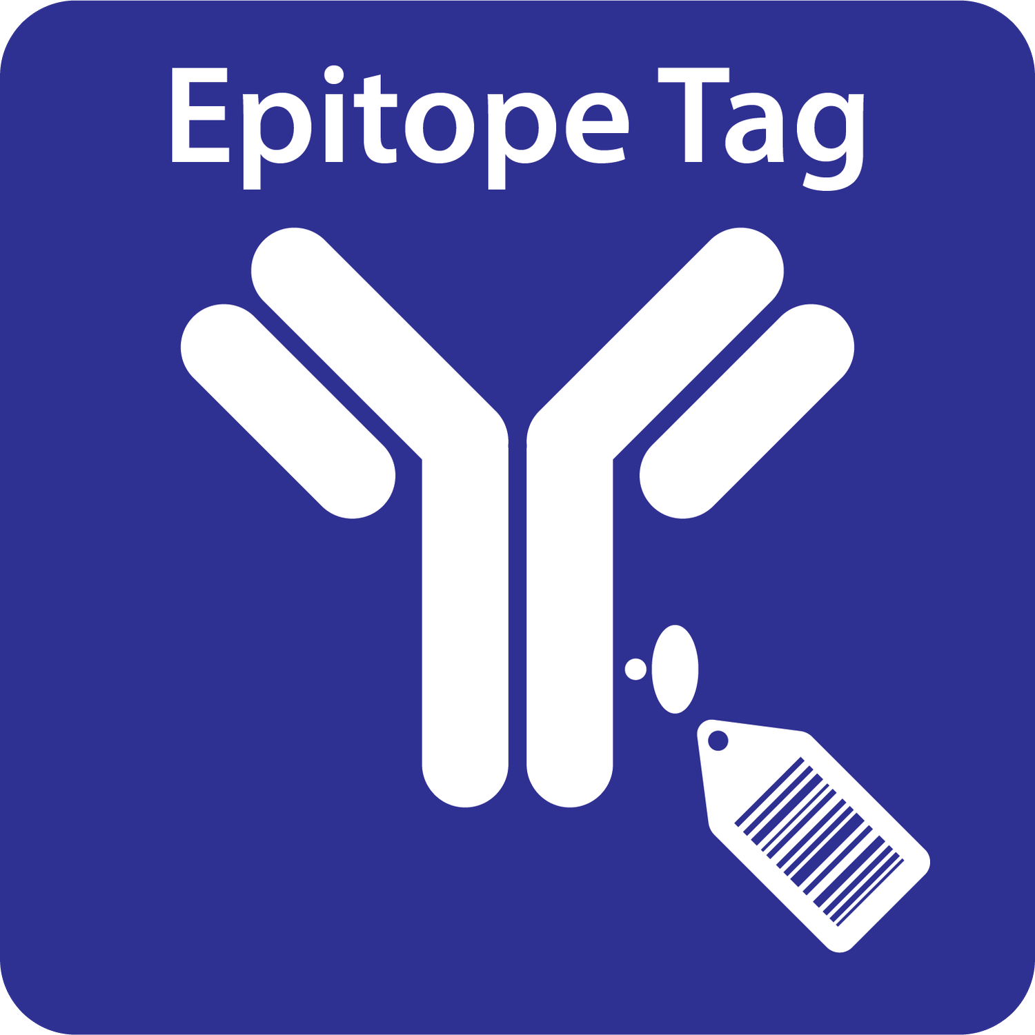 epitope tag