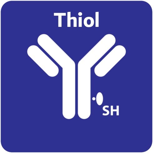 thiol