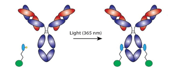 How it work - Light