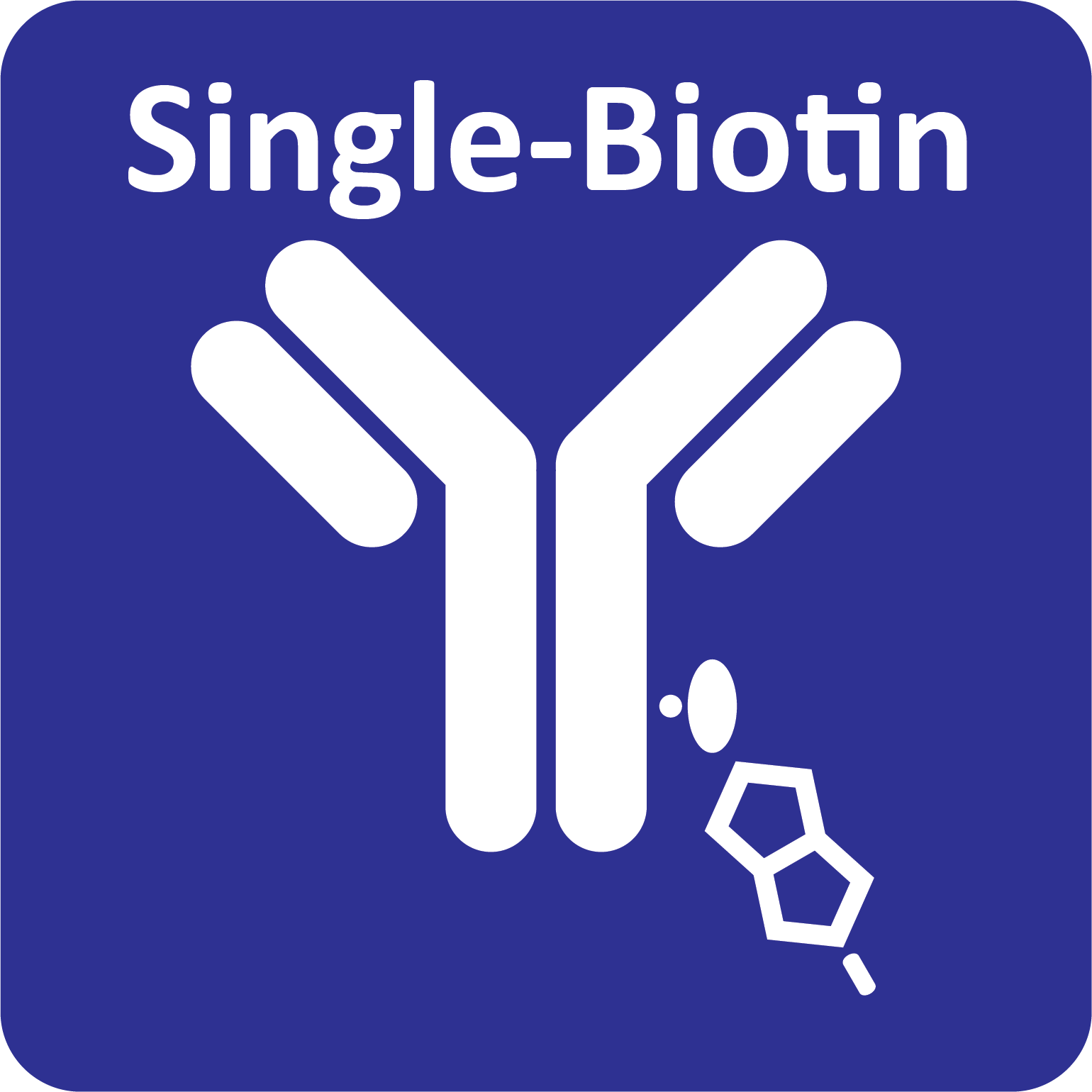single-biotin