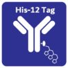 his-12 tag