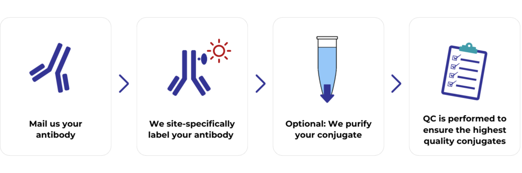 Process diagram - conjugation services.png