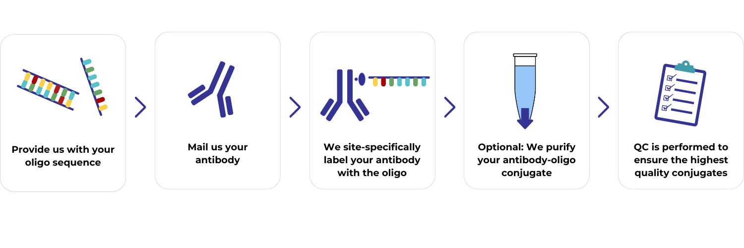 antibody-oligo conjugation services