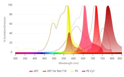 oYo-Link SureLight fluorescent protein labeling reagents absorption emissions spectra