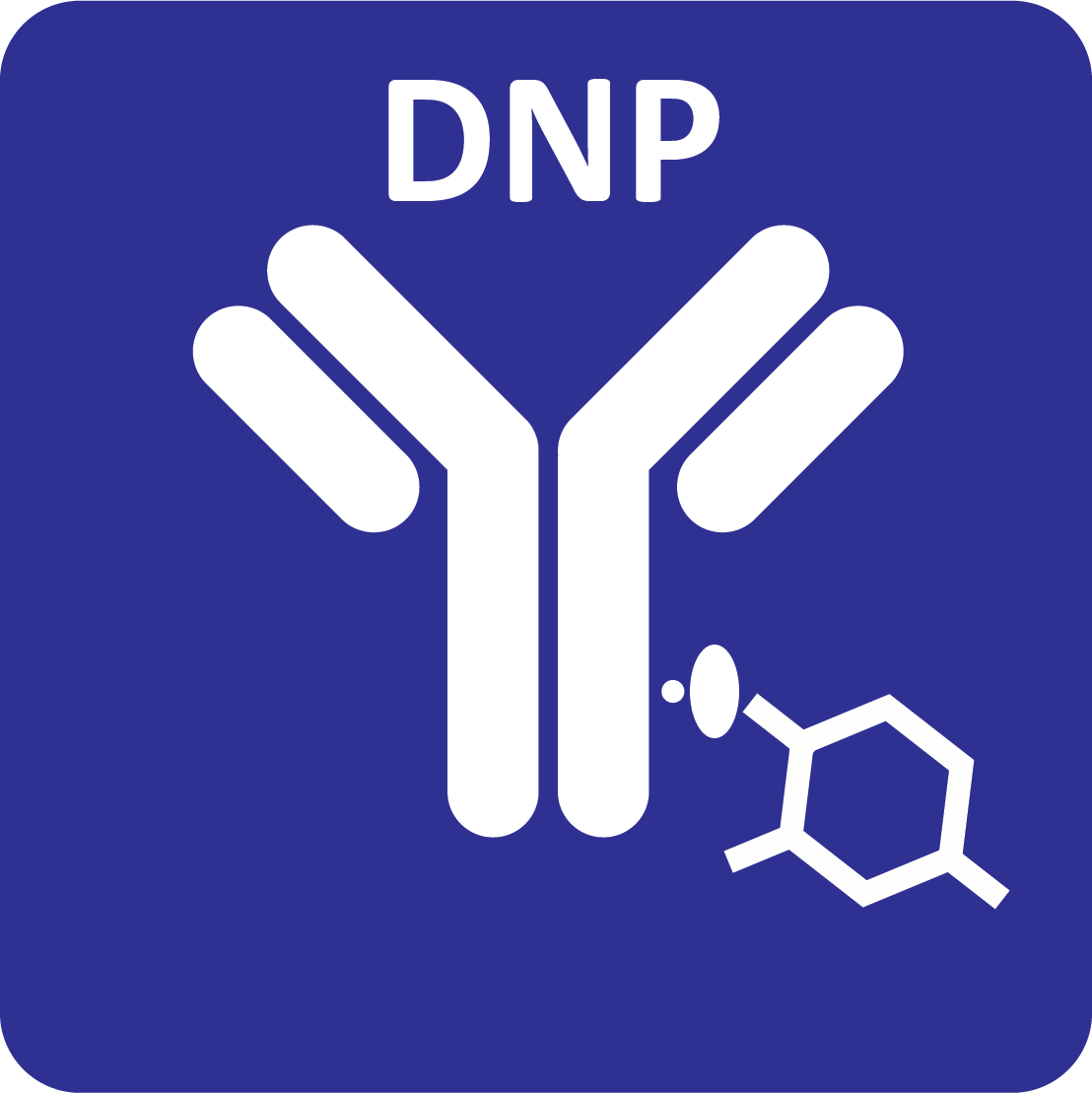 oYo-Link DNP icon