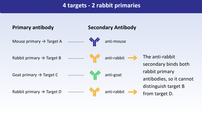challenges of mutliplexing and limitations of primary antibody host species