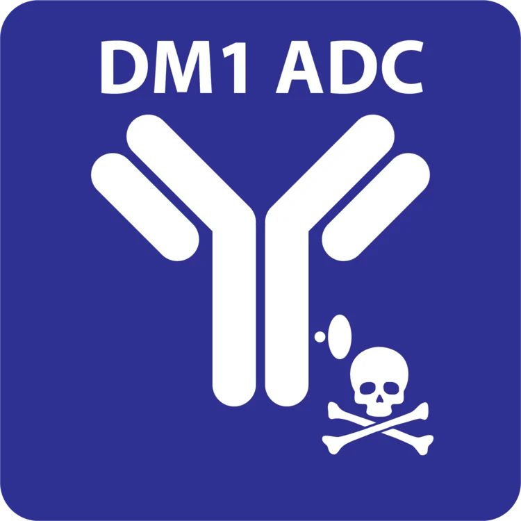 dm1 antibody-drug conjugation reagent