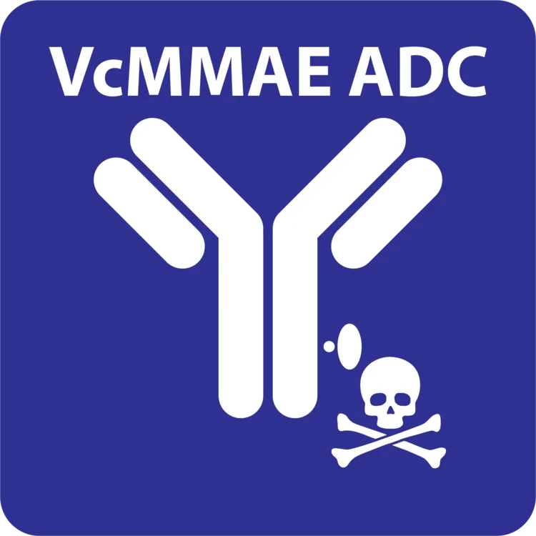 vcmmae antibody drug conjugation reagent