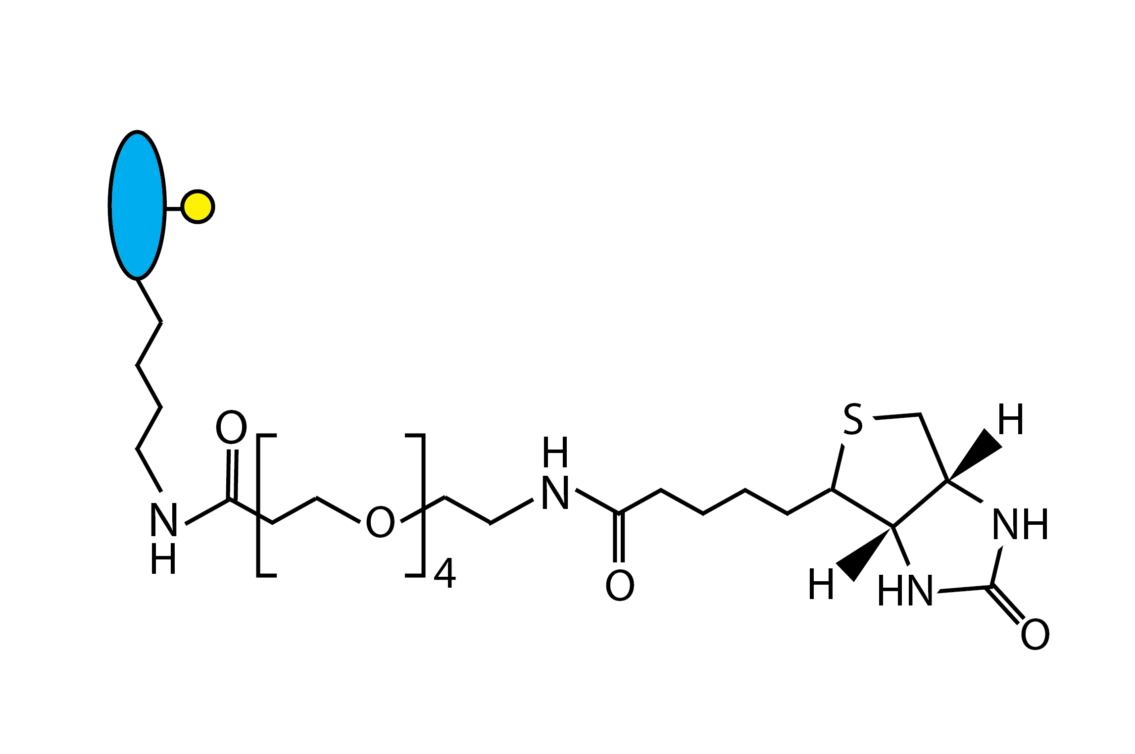 oYo-Link® Single-Biotin