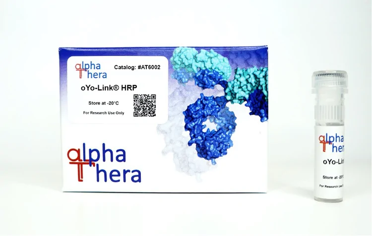oYo-Link® HRP Antibody Labeling Kit