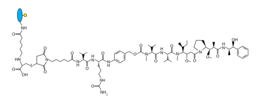 oYo-Link® VcMMAE Antibody-Drug Conjugation Reagent