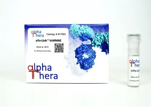oYo-Link® VcMMAE Antibody-Drug Conjugation Reagent