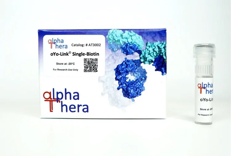 oYo-Link® Single-Biotin