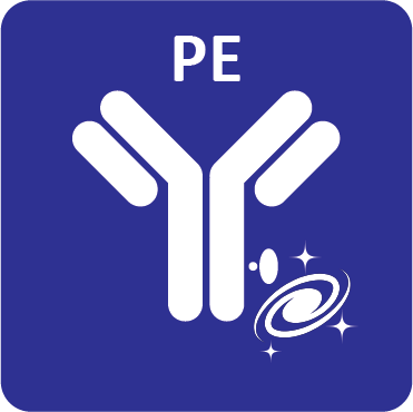 Icon for oYo-Link PE Antibody Labeling Reagent