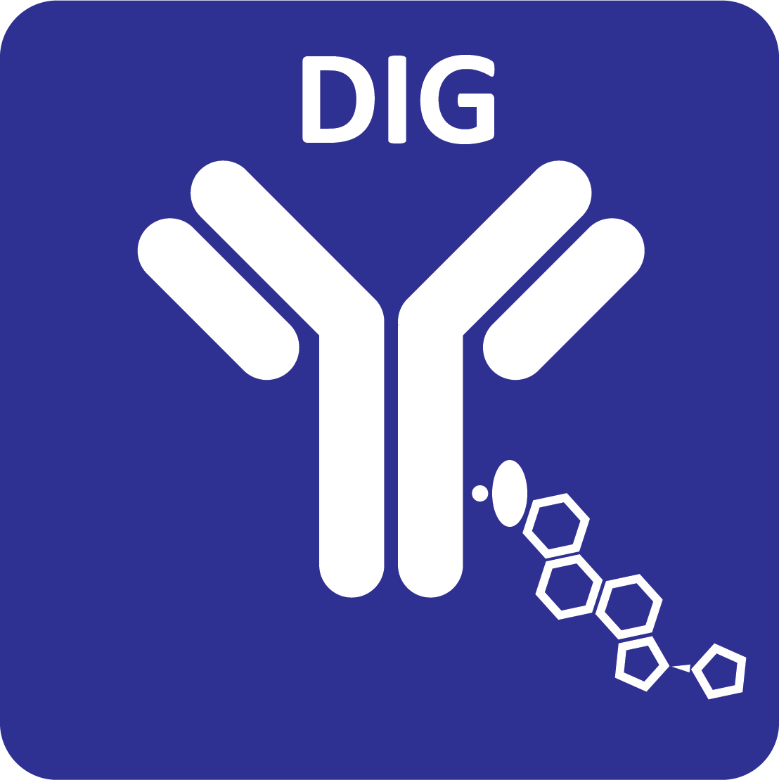 oYo-Link DIG product icon